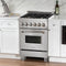 ZLINE RASSNBR24 Professional Ranges Durasnow With Brass Burners – Back Panel
