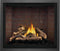 NAPOLEON BBQ E42NTE Elevation 42 Direct Vent Gas Fireplace
