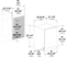 FRQRGEIZTNRM.PNG