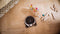 Miele SCOUTRX3HOMEVISIONROSEGOLDPF Vacuum Accessories Rose Gold (Pf) – Official Product Photo