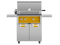 FRTAEDMVGHSR.PNG
