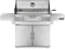 Napoleon PRO605CSS Charcoal BBQs Stainless Steel Front View
