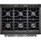 FORZA FR366GN Professional Ranges Standard Configuration Stainless Steel – Official Product Photo