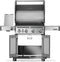 NAPOLEON BBQ RP525SIBPSS2 Pro Style BBQs Stainless Steel – Appliance Image