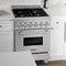 ZLINE RASSNBR24 Professional Ranges Durasnow With Brass Burners – Side Profile
