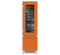 FRVGGSTMVKIF.PNG