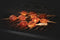 napoleon-bbq-70116-bamboo-skewers-6-inch – Catalog Photo
