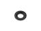 FRWHPGIPGDPL.PNG