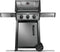 Napoleon F365DPGT Natural Gas BBQs Graphite Grey Front View