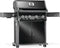 Napoleon RP525SIBPK2 Pro Style BBQs Black – Back Panel
