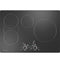 Monogram ZHU30RDTBB Electric Cooktops Black – Catalog Photo