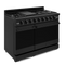 Thor Kitchen RSG48EBLP Professional Ranges 0 – Appliance Image