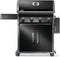 NAPOLEON BBQ R525PK2 Liquid Propane Gas BBQs Black – Control Panel