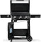 Napoleon F24DFTNK Natural Gas BBQs Black – Control Panel
