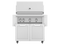 FRYXXRZGERST.PNG