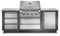 NAPOLEON BBQ ODK100BI32NSS Natural Gas BBQs Stainless Steel Front View
