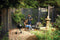 NAPOLEON BBQ NK18KLEG3 Charcoal BBQs Black – Official Product Photo
