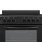 Element Appliance EER244MSCB Freestanding Ranges 0 – Lifestyle Photo
