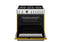 Bertazzoni PRO366BCFGMGIT Professional Ranges Giallo – Catalog Photo