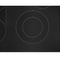 Maytag MEC8830HB Electric Cooktops Black – Detail Close-up