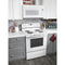 Amana ACR4503SFW Freestanding Ranges White – Detail Close-up