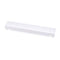 MEWOJKYSHLIC.JPG