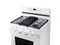 SAMSUNG NX60A6511SW Freestanding Ranges White – Detail Close-up