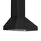 ZLINE 48 in. Designer Series Wall Mount Range Hood 8667B48