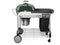 WEBER 15507001 PERFORMER® DELUXE CHARCOAL GRILL - 22 INCH GREEN