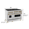 ZLINE 48" 6.0 cu. ft. Range with Gas Stove and Gas Oven in DuraSnow¬Æ Stainless Steel with Gold Accents RGSZSN48G