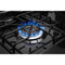 AMANA AGR6303MMB 30-inch Gas Range with Bake Assist Temps