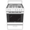 HAIER QGAS740RMSS 24" 2.9 Cu. Ft. Gas Free-Standing Range with Convection and Modular Backguard