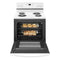 AMANA ACR4503SFW 30-inch Electric Range with Self-Clean Option - White