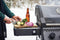 NAPOLEON BBQ F365DPGT Freestyle 365 Gas Grill , Graphite Grey , Propane