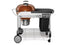 WEBER 15502001 Performer Deluxe Charcoal Grill - 22" Copper