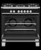 FISHER & PAYKEL OR36SCG4B1 Gas Range, 36", 5 Burners