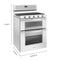 WHIRLPOOL WGG745S0FH 6.0 Cu. Ft. Gas Double Oven Range with EZ-2-Lift Hinged Grates