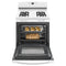 AMANA AGR6303MMW 30-inch Gas Range with Bake Assist Temps